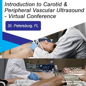 GCUS Introduction to Carotid Duplex/Color Flow Ultrasound 2022 (VIDEOS)